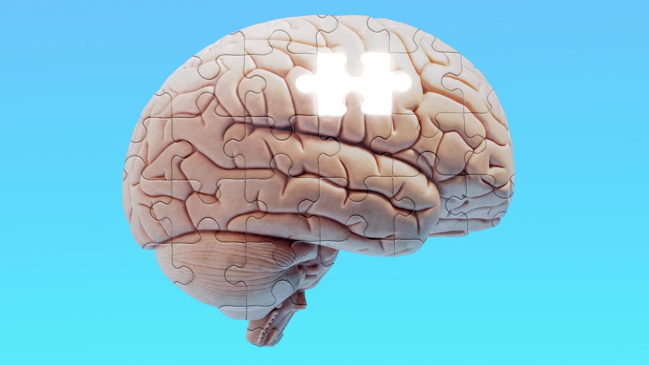 神经学家指出，健康的大脑结构的基础是在子宫内奠定的。他警告说，规律的睡眠、适当的营养和身体活动应该成为一种生活方式。翁多库兹迈什大学 (OMU) 医学院、神经病学系主任、土耳其神经病学协会主席 Murat Terzi