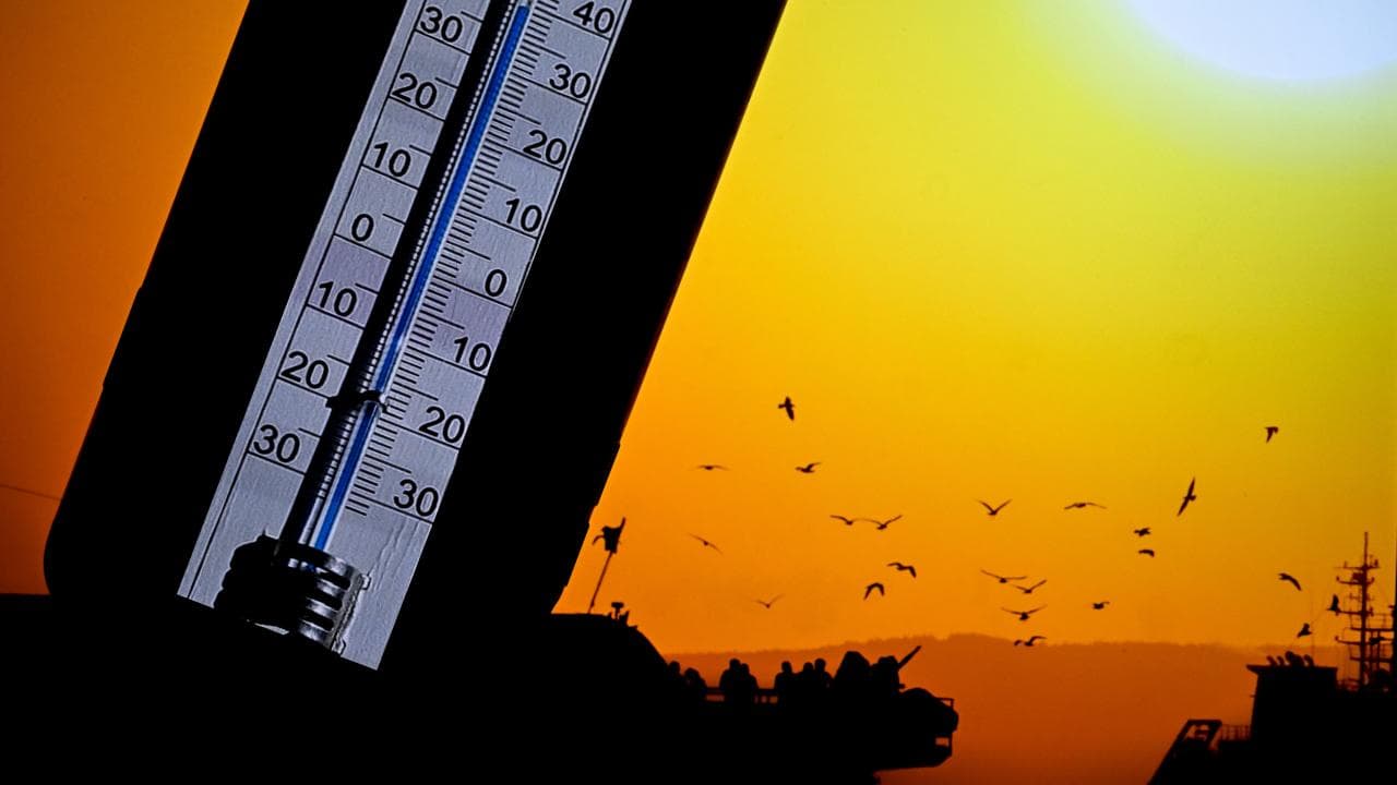 Sunny Weather Will Dominate in Most Regions, But Local Showers Are Forecast in Some Areas