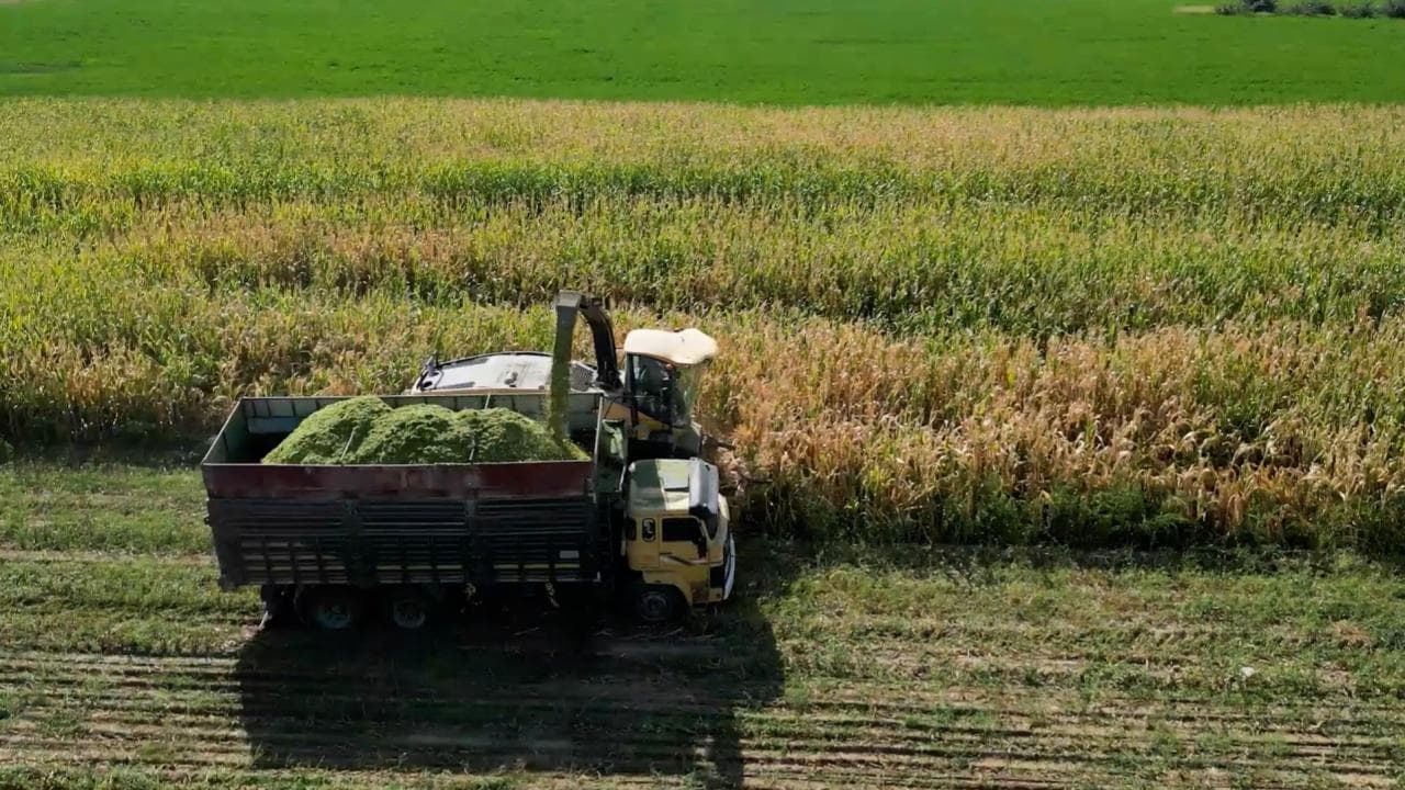 YÖK'ten Yapılan Açıklamaya Göre, Değişen İklim Şartları, Inırlı Doğal Kaynaklar ve Hızlanan Dijitalleşme, Tarım ve Hayvancılığı Robotik