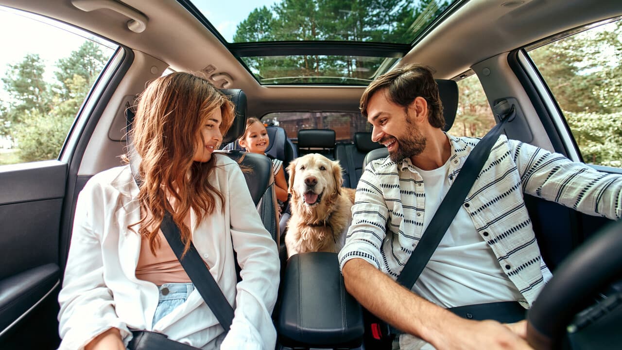 The Lonely Planet pet friendly, 20 top experiences in Italy to do with your dog