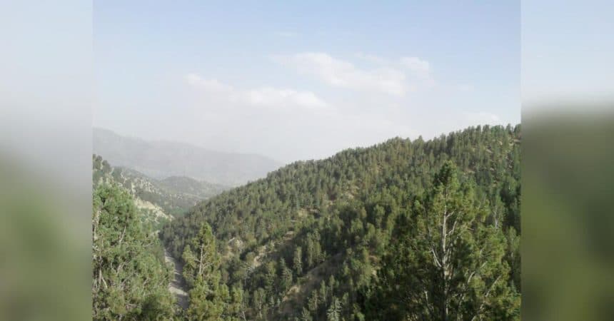 Both Sides Have Used Light and Heavy Weapons, Raising Concerns That a Long-running Land Dispute Could Escalate Further