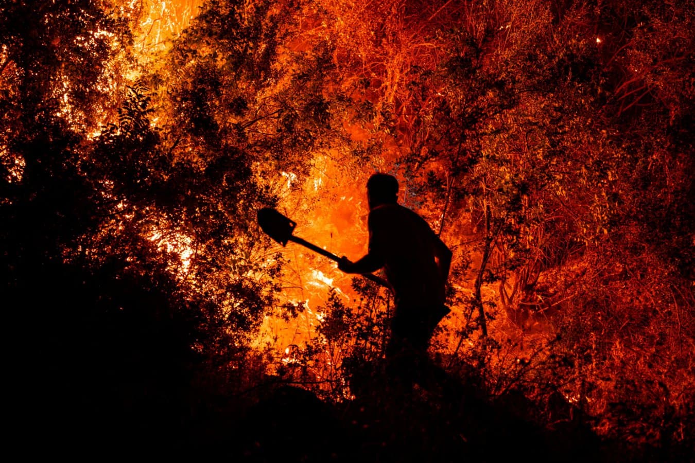 If Society Remains Organized Around Burning Fossil Fuels, Earth's Climate Will Keep Warming and Wildfires Will Worsen