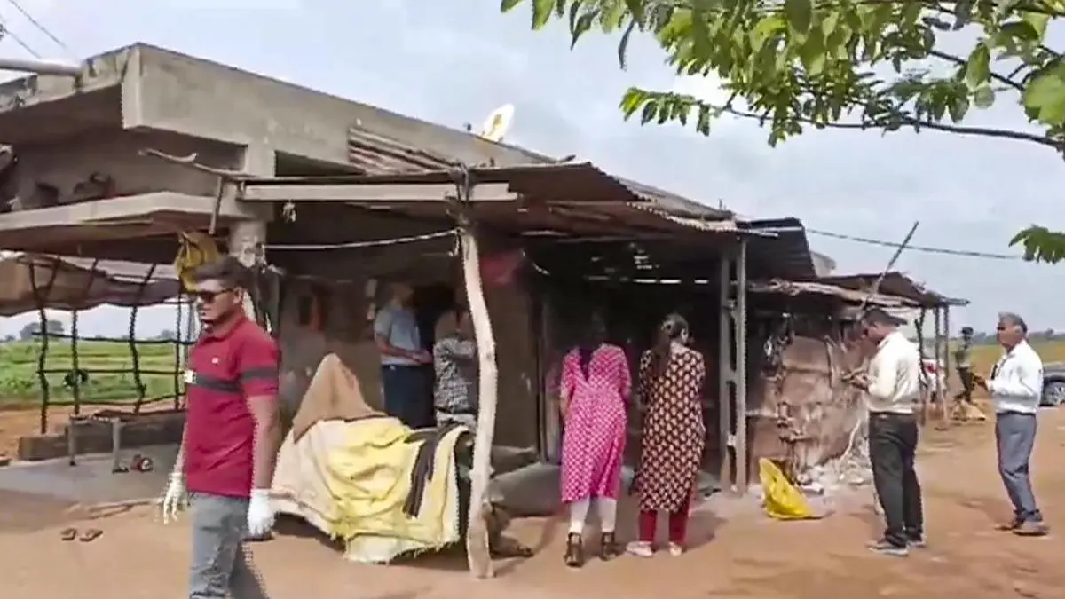 Mortes Recentes de 24 Crianças Em Gujarat e Rajastão Reacendem Preocupações Sobre o Vírus Chandipura