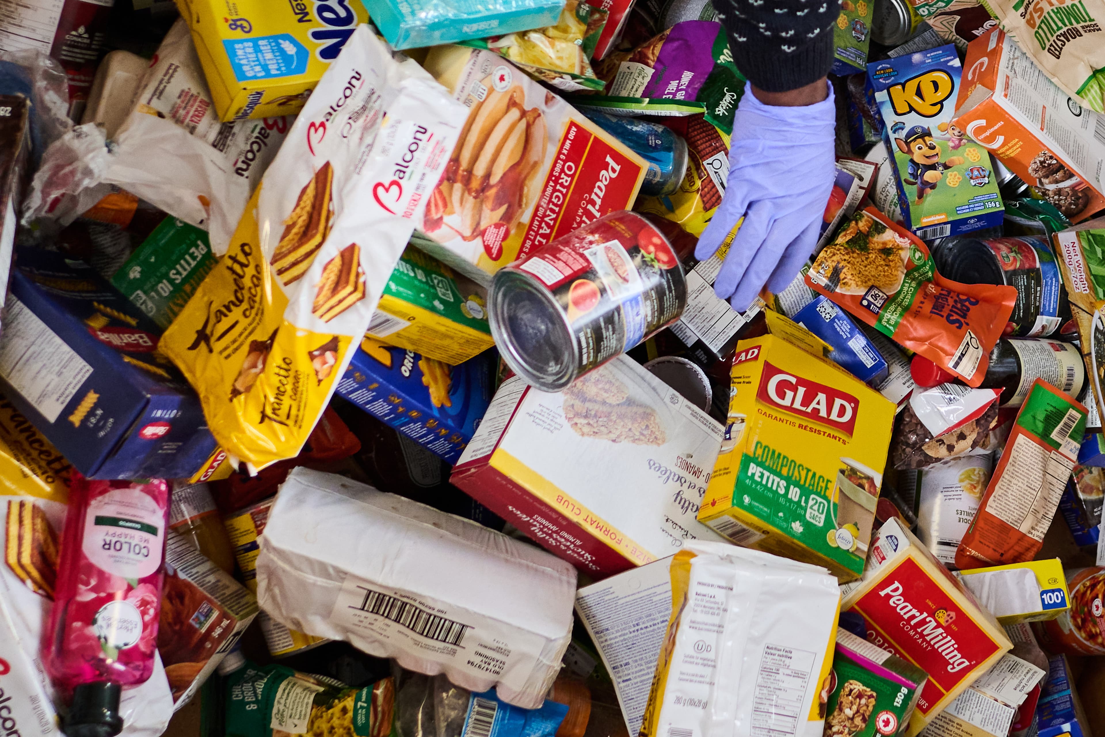 Allan Gardens Food Bank Closes After Sewer Pipe Failure