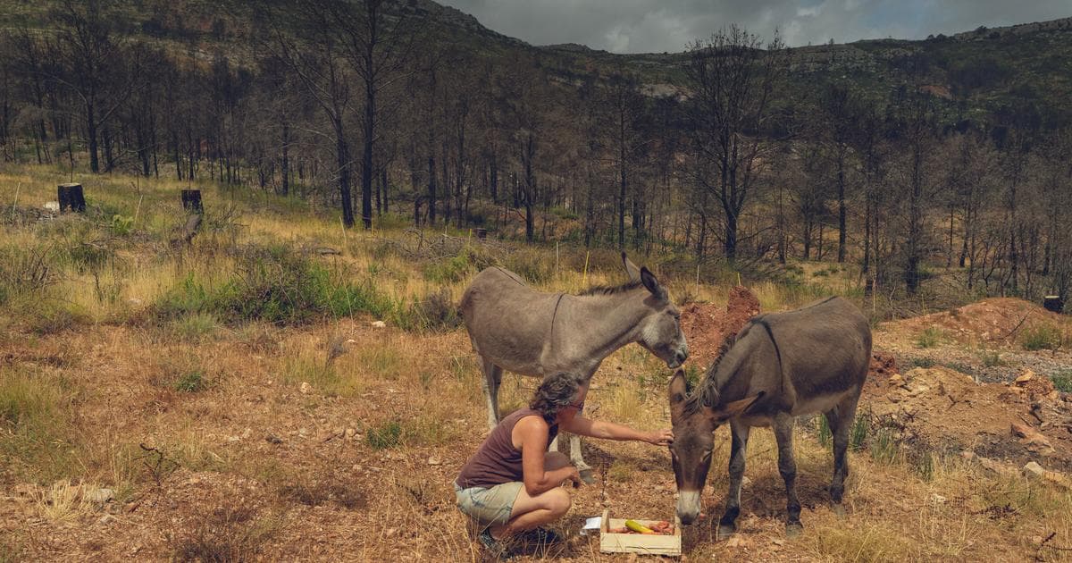 Corbières Region in Southern France, Residents Are Still Fighting to Save