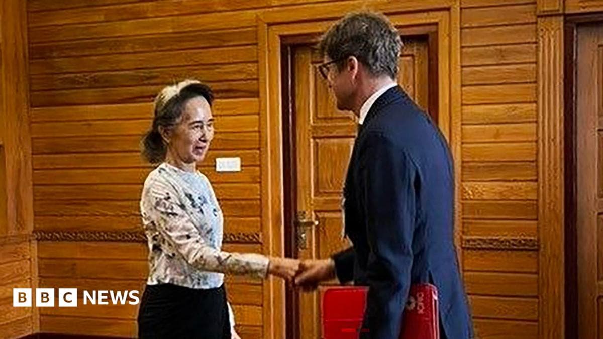 The Image, Publi Hed Wedne Day, How the 81-Year-old Democracy Icon Looking Relaxed and Healthy Along Ide ICRC Repre Entative Arnaud