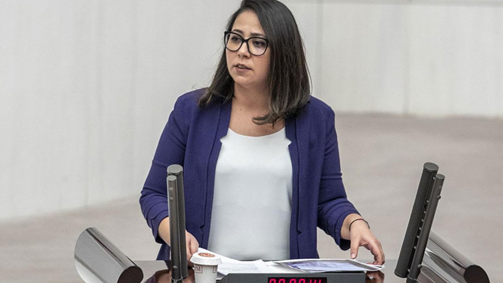 Sera Kadıgil, an Istanbul Deputy for the Workers' Party of Turkey, Over Charges of Insulting the President'