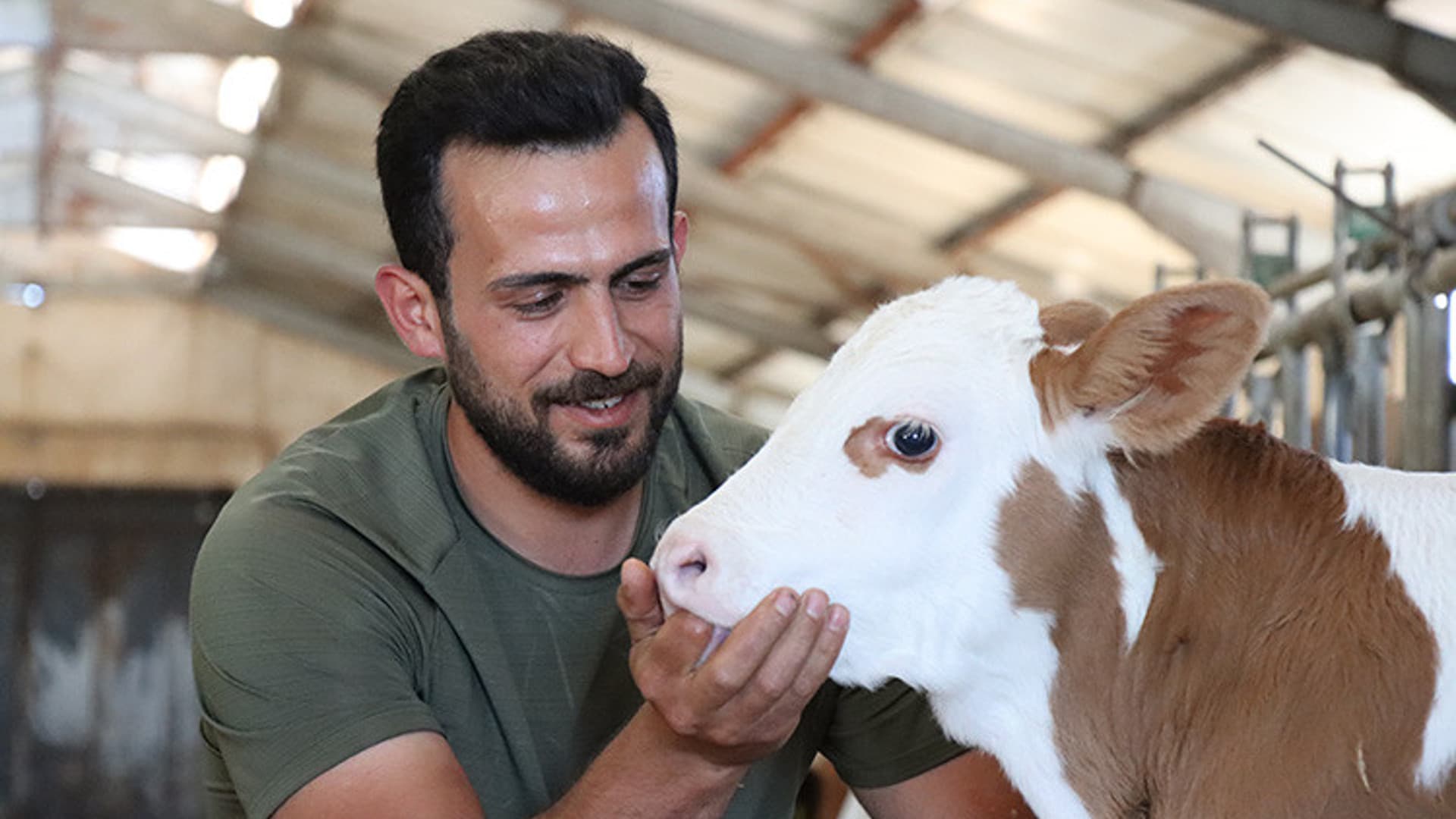 Baba Indan Devraldığı Büyükbaş Hayvancılık İşletme İni Büyüten Akyıldız, 2014 Yılında Tarım ve Kır Al Kalkınmayı de Tekleme Kurumunun Yüzde
