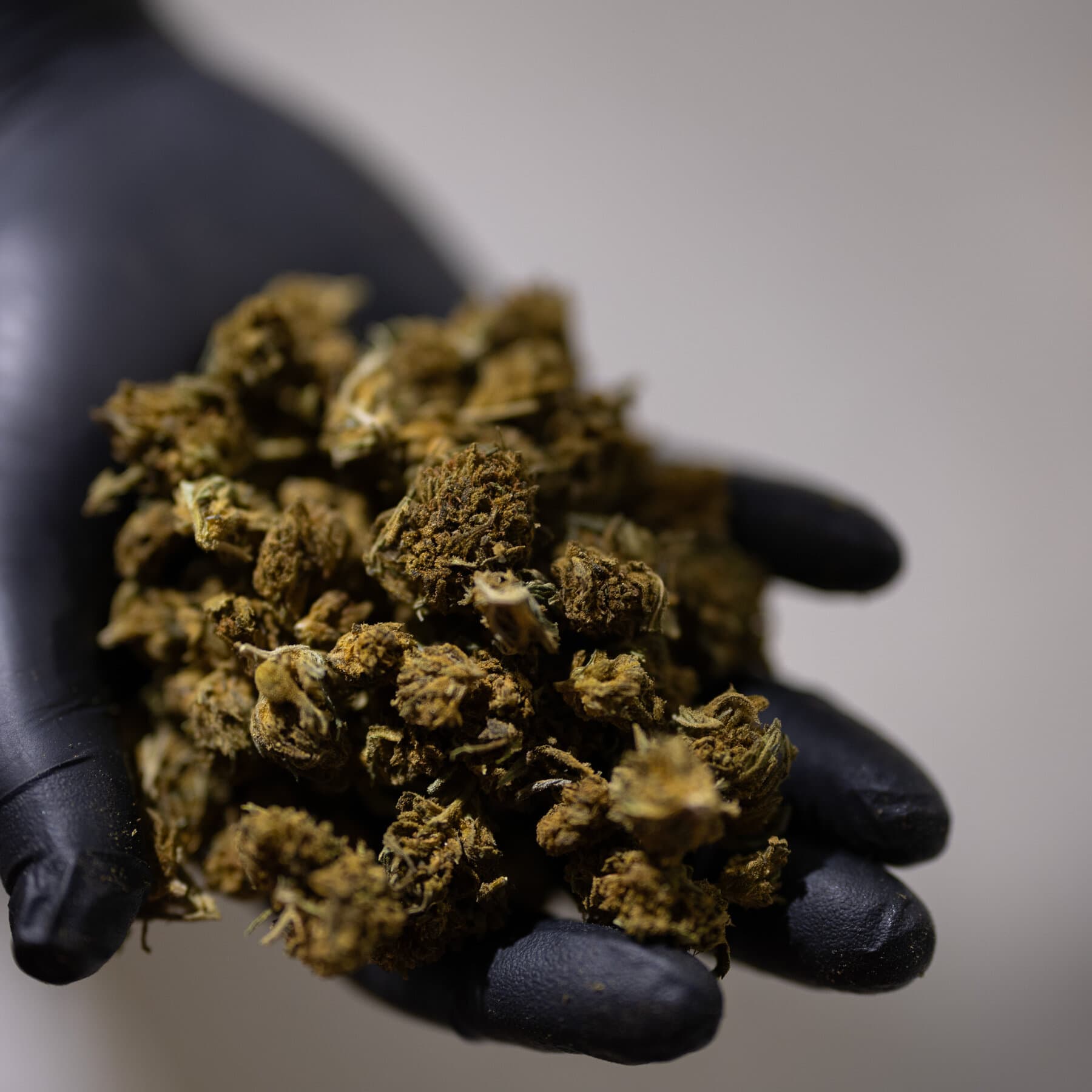 The Inclusion Reflects a Successful Hemp Industry Influence Campaign