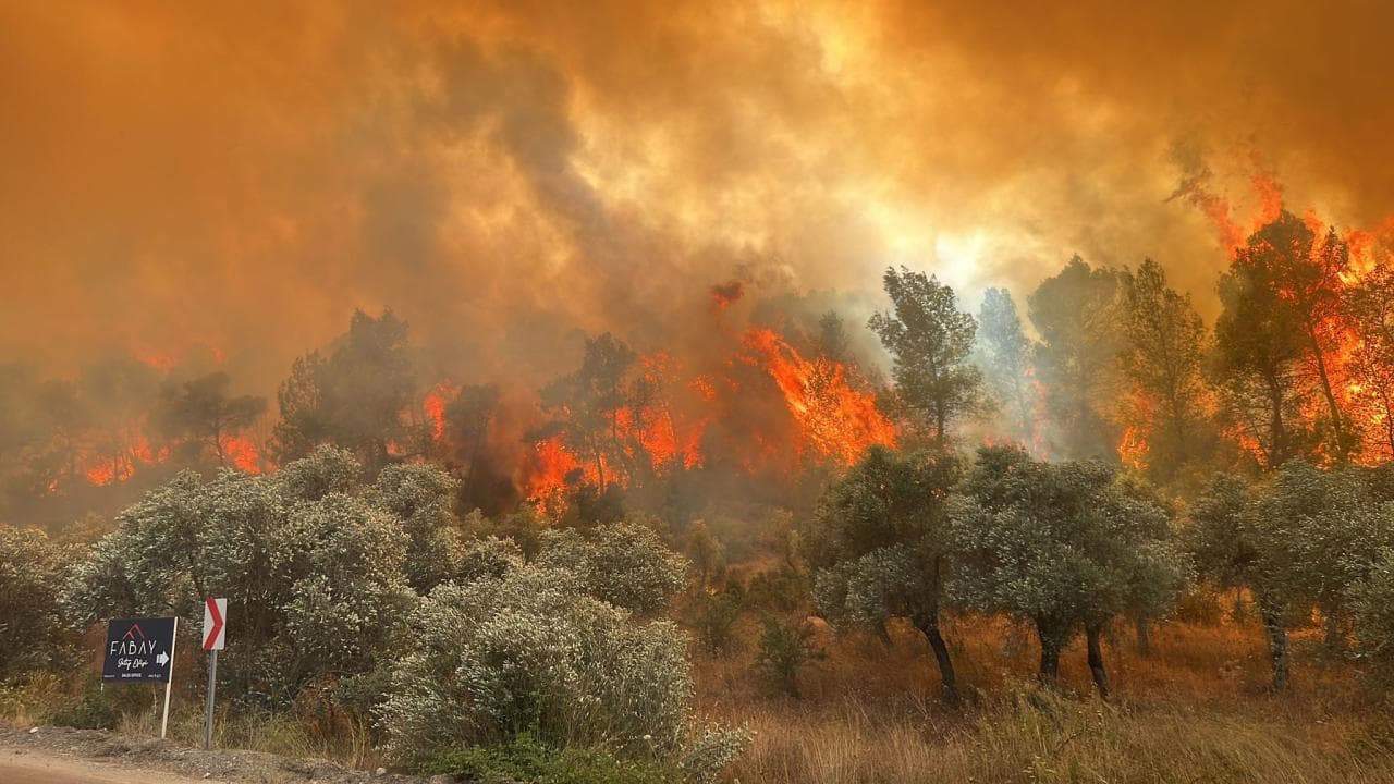 Kurum: Evaluación de Daños Completada En 5 Ciudades Afectadas Por Incendios