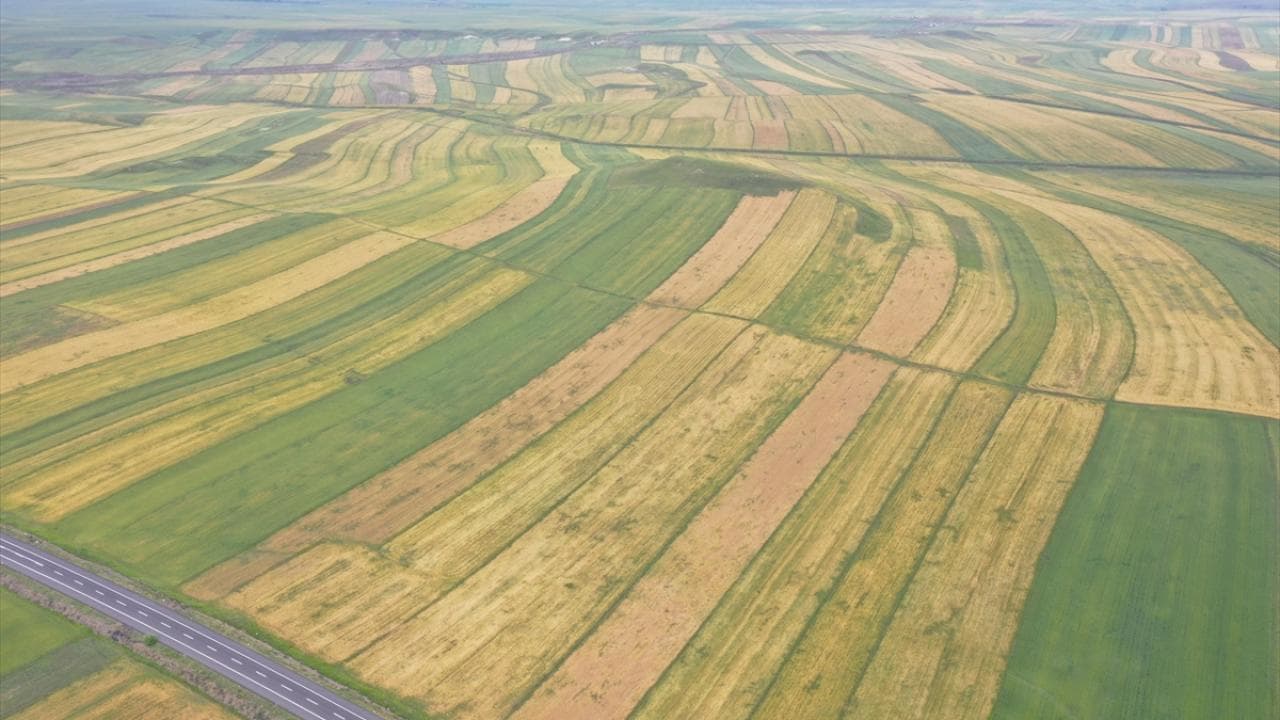 Регламент вступил в силу в день публикации, положения применяются с 4 апреля 2026 года