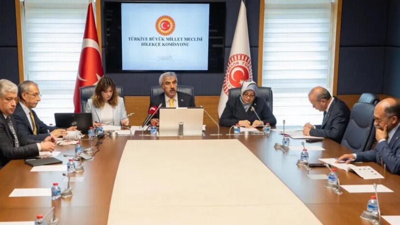 1,610 Submissions in July, Including Requests to Let Citizens Cast As Many Votes As Their Province Has Lawmakers, Make Istanbul the Winter