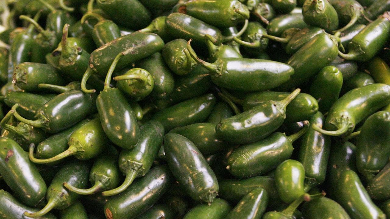 The U.s. Centers for Disease Control and Prevention Said a Salmonella Outbreak Believed to Be Linked to Jalapeno Peppers Has Spread to 27