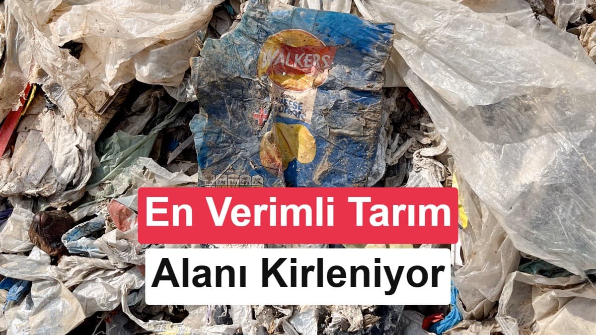 UK to Recycling Plants in Adana Is Driving Microplastic Pollution in Irrigation Canals Across Çukurova, One of the World's Most Fertile
