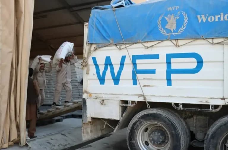Seul Un Afghan Dans Le Besoin Sur Neuf Reçoit Actuellement Une Aide Alimentaire, et Un Sur Trois Souffre de Faim Aiguë