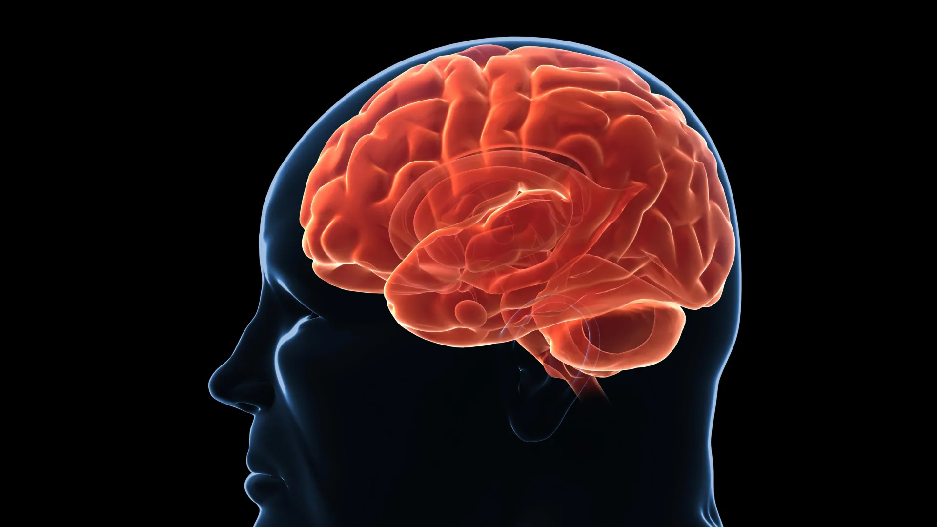 Early Humans Relied on Fat for Survival, So the Body Guards Reserves Through Brain-wired Defenses